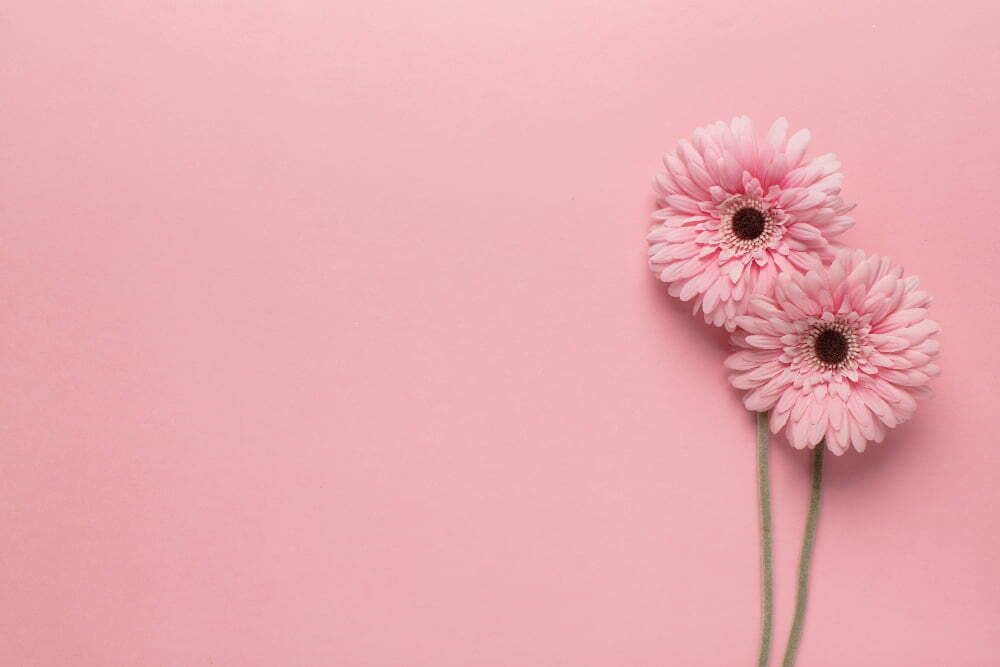 Las flores ganan importancia en los servicios funerarios de coronavirus Las flores ganan importancia en los servicios funerarios de coronavirus