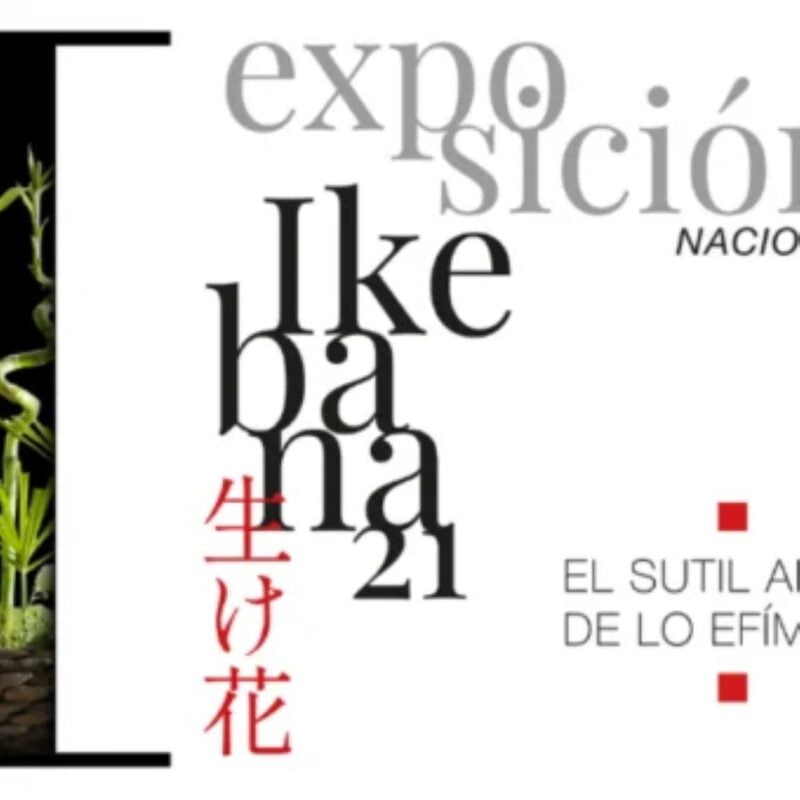 exposicion_ikebana