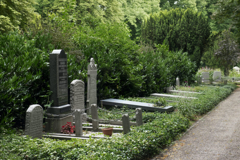 cementerio ecológico