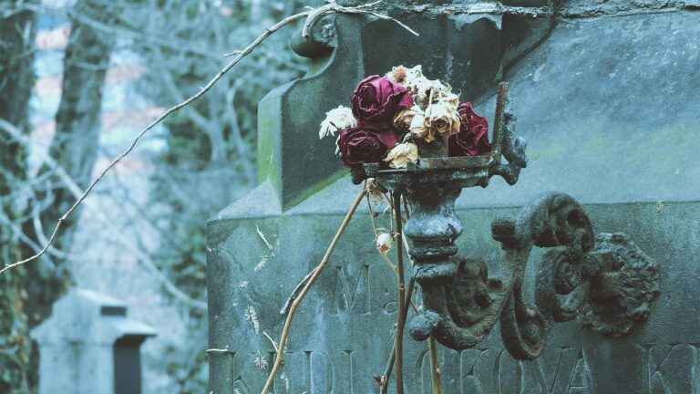 dried-flowers-6734396_1280