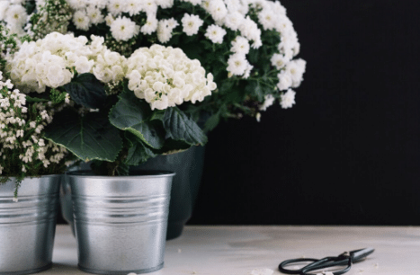 emociones y recuerdo