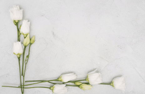 Flores_para_tanatorio